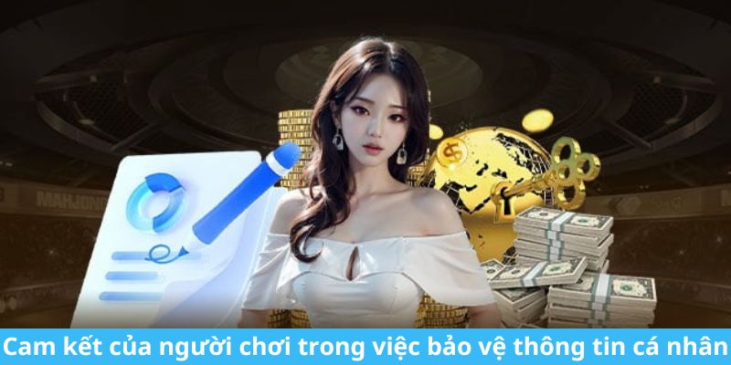 Cam kết của người chơi trong việc bảo vệ thông tin cá nhân